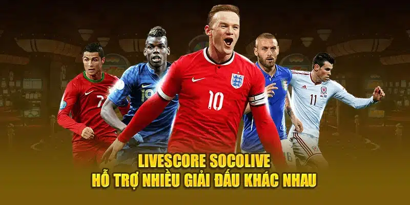 Livescore Socolive hỗ trợ nhiều giải đấu khác nhau