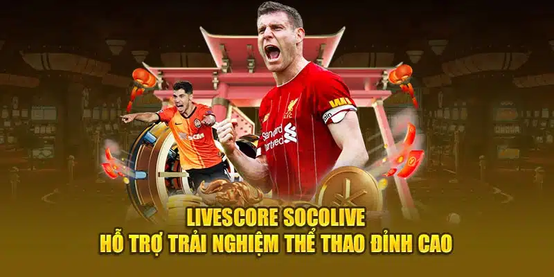 Livescore Socolive - Hỗ trợ trải nghiệm thể thao đỉnh cao